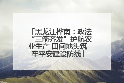 黑龙江桦南：政法“三箭齐发”护航农业生产 田间地头筑牢平安建设防线