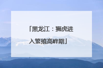 黑龙江：狮虎进入繁殖高峰期