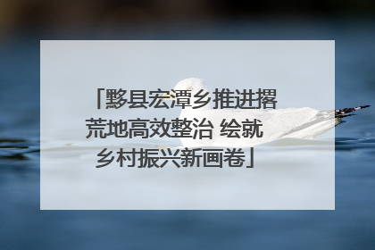 黟县宏潭乡推进撂荒地高效整治 绘就乡村振兴新画卷