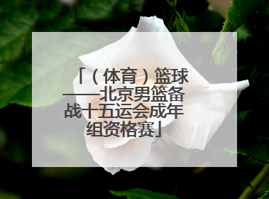 （体育）篮球——北京男篮备战十五运会成年组资格赛