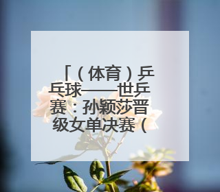 （体育）乒乓球——世乒赛：孙颖莎晋级女单决赛（2）