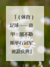 （体育）足球——意甲：那不勒斯举行冠军巡游庆典