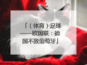 （体育）足球——欧国联：德国不敌葡萄牙