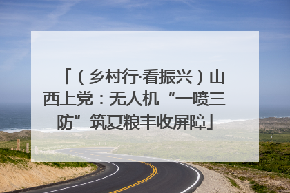 （乡村行·看振兴）山西上党：无人机“一喷三防”筑夏粮丰收屏障