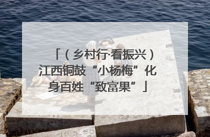 （乡村行·看振兴）江西铜鼓“小杨梅”化身百姓“致富果”