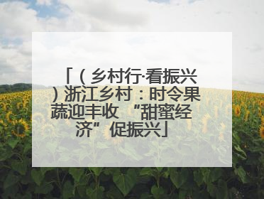 （乡村行·看振兴）浙江乡村：时令果蔬迎丰收 “甜蜜经济”促振兴