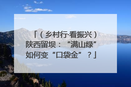（乡村行·看振兴）陕西留坝：“满山绿”如何变“口袋金”？