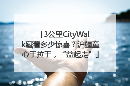 3公里CityWalk藏着多少惊喜？沪疆童心手拉手，“益起走”