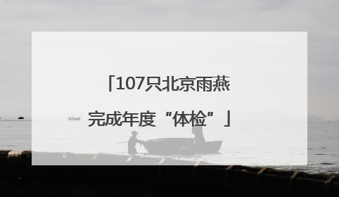 107只北京雨燕完成年度“体检”
