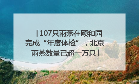 107只雨燕在颐和园完成“年度体检”，北京雨燕数量已超一万只