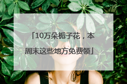 10万朵栀子花，本周末这些地方免费领