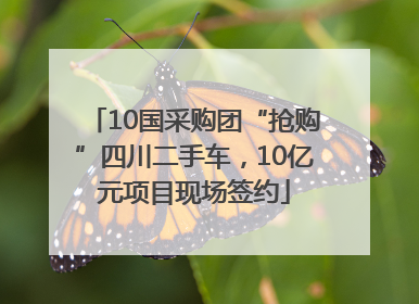 10国采购团“抢购”四川二手车，10亿元项目现场签约