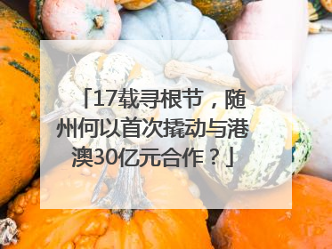 17载寻根节，随州何以首次撬动与港澳30亿元合作？