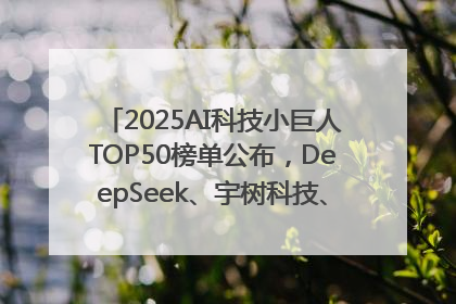 2025AI科技小巨人TOP50榜单公布，DeepSeek、宇树科技、蘑菇车联等企业荣誉上榜