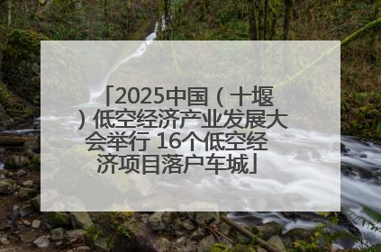 2025中国（十堰）低空经济产业发展大会举行 16个低空经济项目落户车城