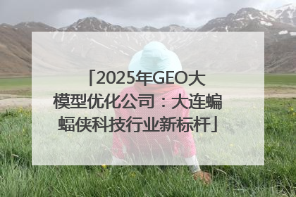 2025年GEO大模型优化公司：大连蝙蝠侠科技行业新标杆