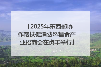 2025年东西部协作帮扶促消费暨糯食产业招商会在贞丰举行