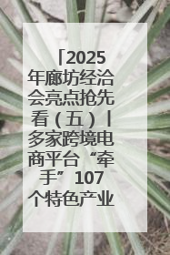 2025年廊坊经洽会亮点抢先看（五）丨多家跨境电商平台“牵手”107个特色产业集群