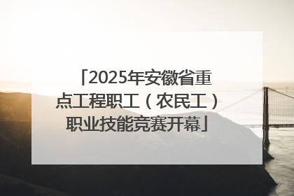 2025年安徽省重点工程职工（农民工）职业技能竞赛开幕