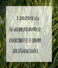 2025年山东省教育系统全国爱眼日主题推进活动启动