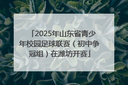 2025年山东省青少年校园足球联赛（初中争冠组）在潍坊开赛
