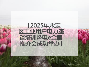 2025年永定区工业用户电力座谈培训暨电e金服推介会成功举办