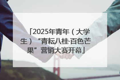 2025年青年（大学生）“青耘八桂·百色芒果”营销大赛开幕