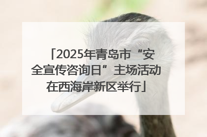 2025年青岛市“安全宣传咨询日”主场活动在西海岸新区举行