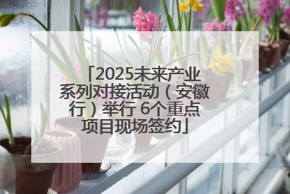 2025未来产业系列对接活动（安徽行）举行 6个重点项目现场签约