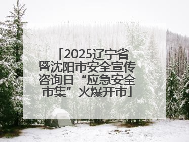 2025辽宁省暨沈阳市安全宣传咨询日“应急安全市集”火爆开市