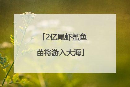 2亿尾虾蟹鱼苗将游入大海