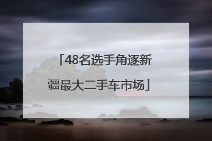 48名选手角逐新疆最大二手车市场