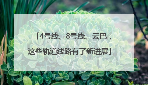 4号线、8号线、云巴，这些轨道线路有了新进展