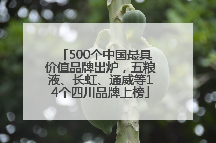 500个中国最具价值品牌出炉，五粮液、长虹、通威等14个四川品牌上榜