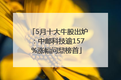 5月十大牛股出炉：中邮科技逾157%涨幅问鼎榜首