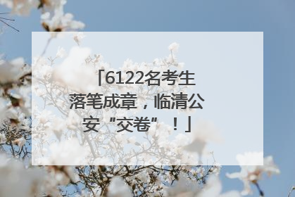 6122名考生落笔成章，临清公安“交卷”！