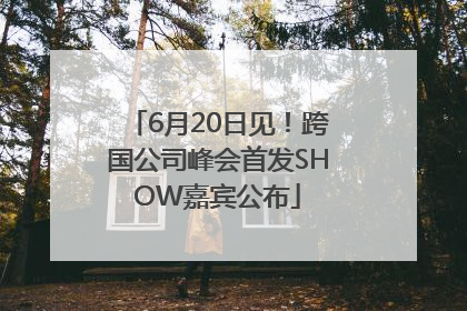 6月20日见！跨国公司峰会首发SHOW嘉宾公布
