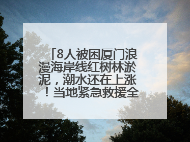 8人被困厦门浪漫海岸线红树林淤泥，潮水还在上涨！当地紧急救援全部脱困