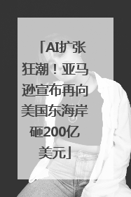 AI扩张狂潮！亚马逊宣布再向美国东海岸砸200亿美元