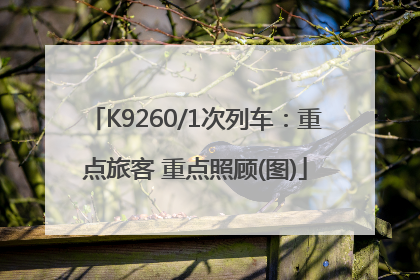 K9260/1次列车：重点旅客 重点照顾(图)