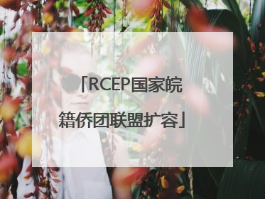 RCEP国家皖籍侨团联盟扩容